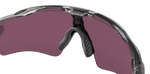 Radar EV Path Grey INK/Prizm Road Black-8