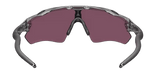 Radar EV Path Grey INK/Prizm Road Black-10