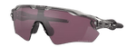 Radar EV Path Grey INK/Prizm Road Black-1