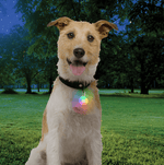 Spotlit Rechargable Collar Light-6