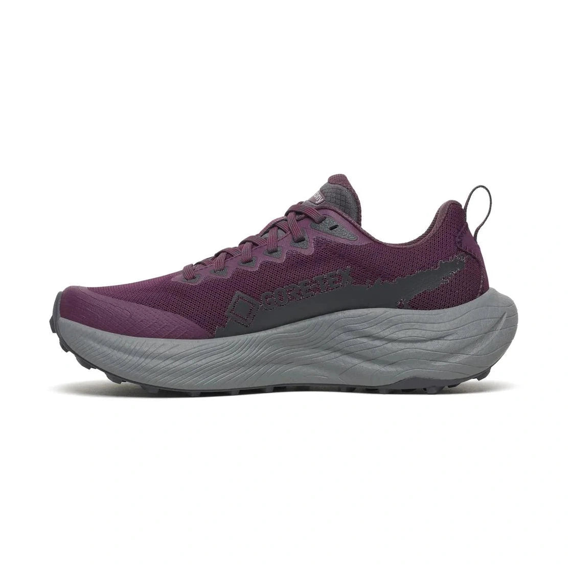 Chaussures Course Ride TR3 GTX FEMME