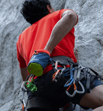 /S/2/S25491U1416_COTDEL_Main5.png