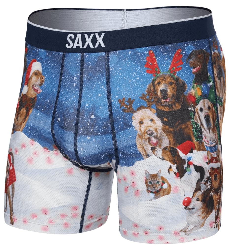 Volt Mesh Boxer Brief-154