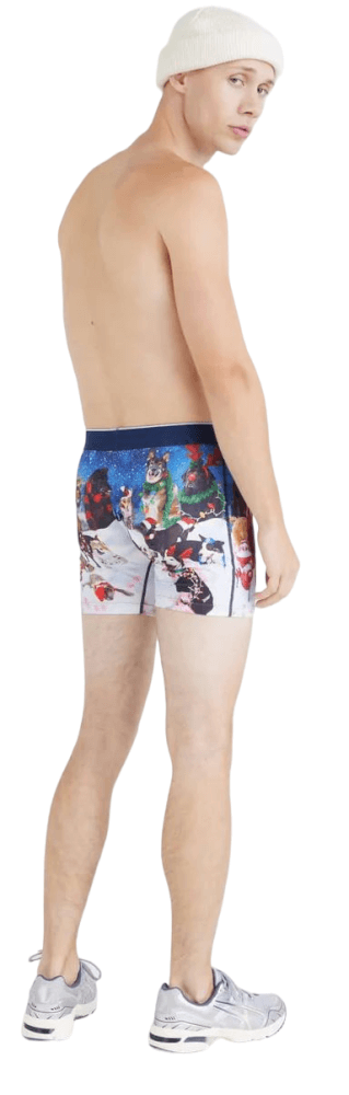 Volt Mesh Boxer Brief-157