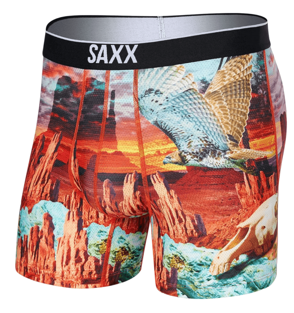 Volt Mesh Boxer Brief-121