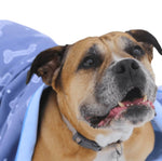 Serviette Pour Chien-4