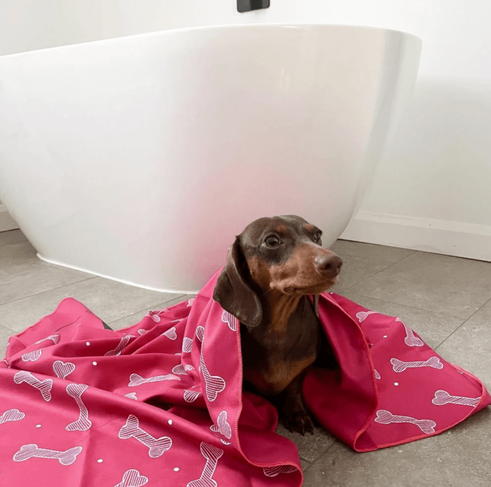 Serviette Pour Chien-21