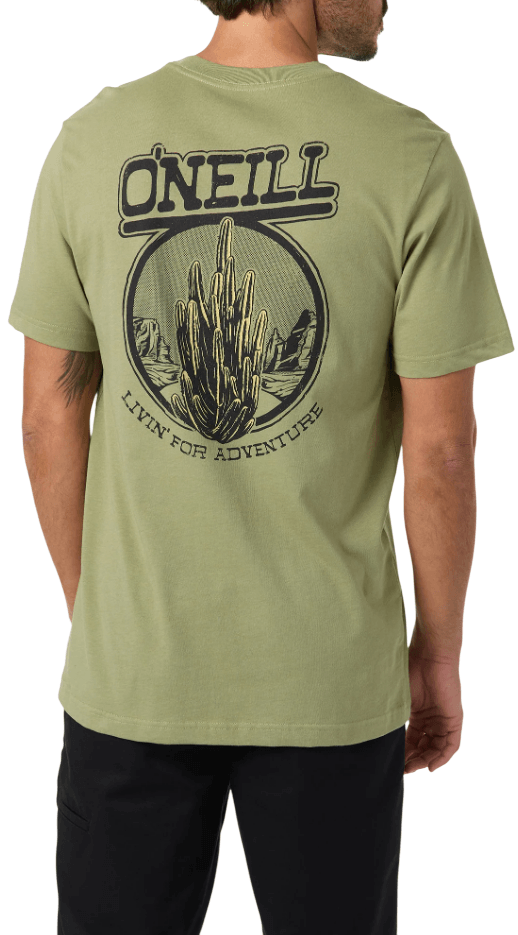 Cactus Classic-10