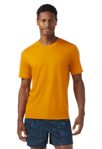 Merino Boxed-1