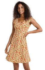 Rosemarie-840-Mango Daisy Fiel-1