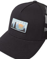 Forest SUN Altitude-12