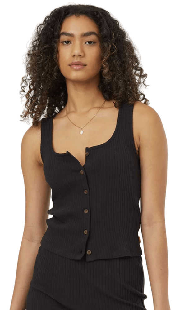 Moraine-0164-Meteorite BLK-1