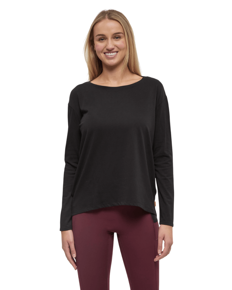 Plateau-0164-Meteorite BLK-1