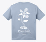 Planted Checker-2