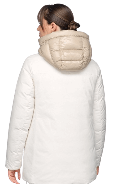 Texte alternatif de l'image