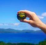 Grip Beach Ball-6