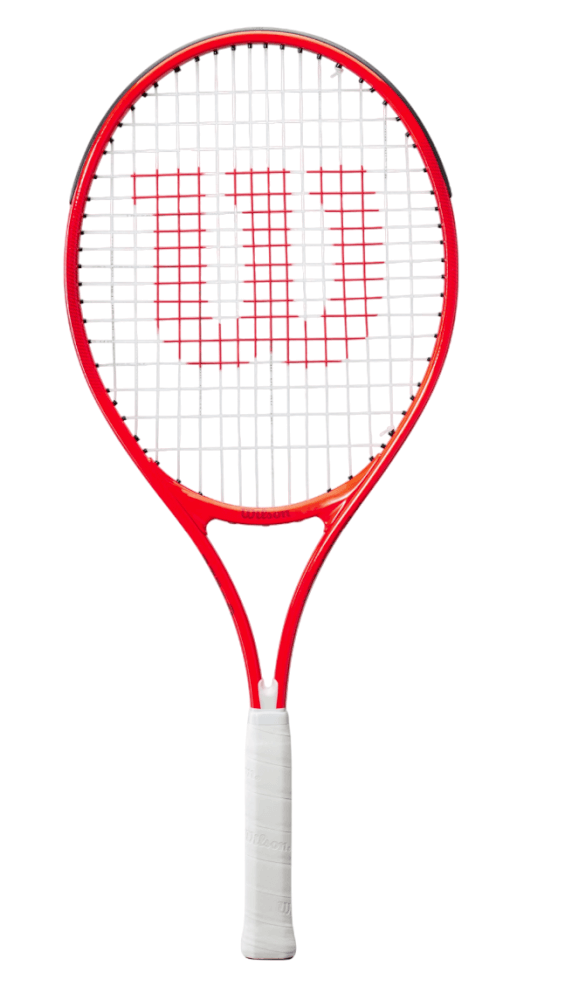 Roger Federer 25-1