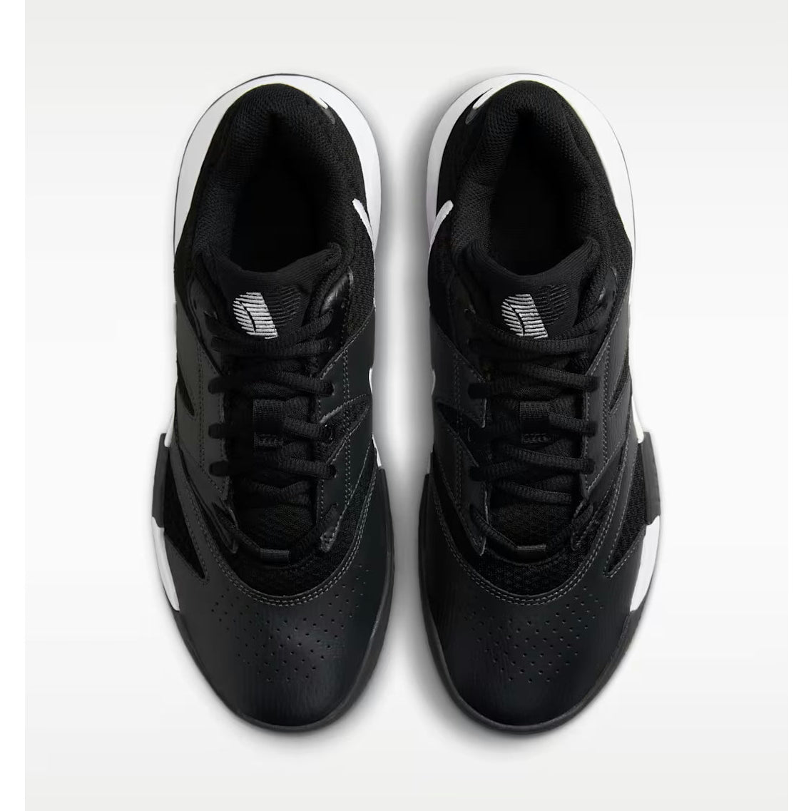 Court Lite 4-8