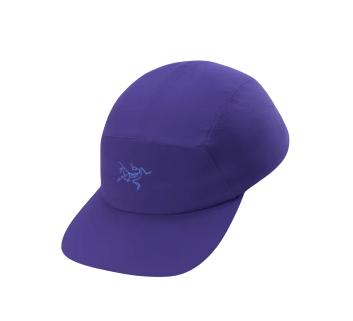 Gamma 5 Panel-Soulsonic/Electra-1