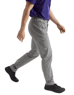 Gamma SL-17