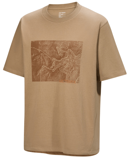 Kragg-Canvas-1