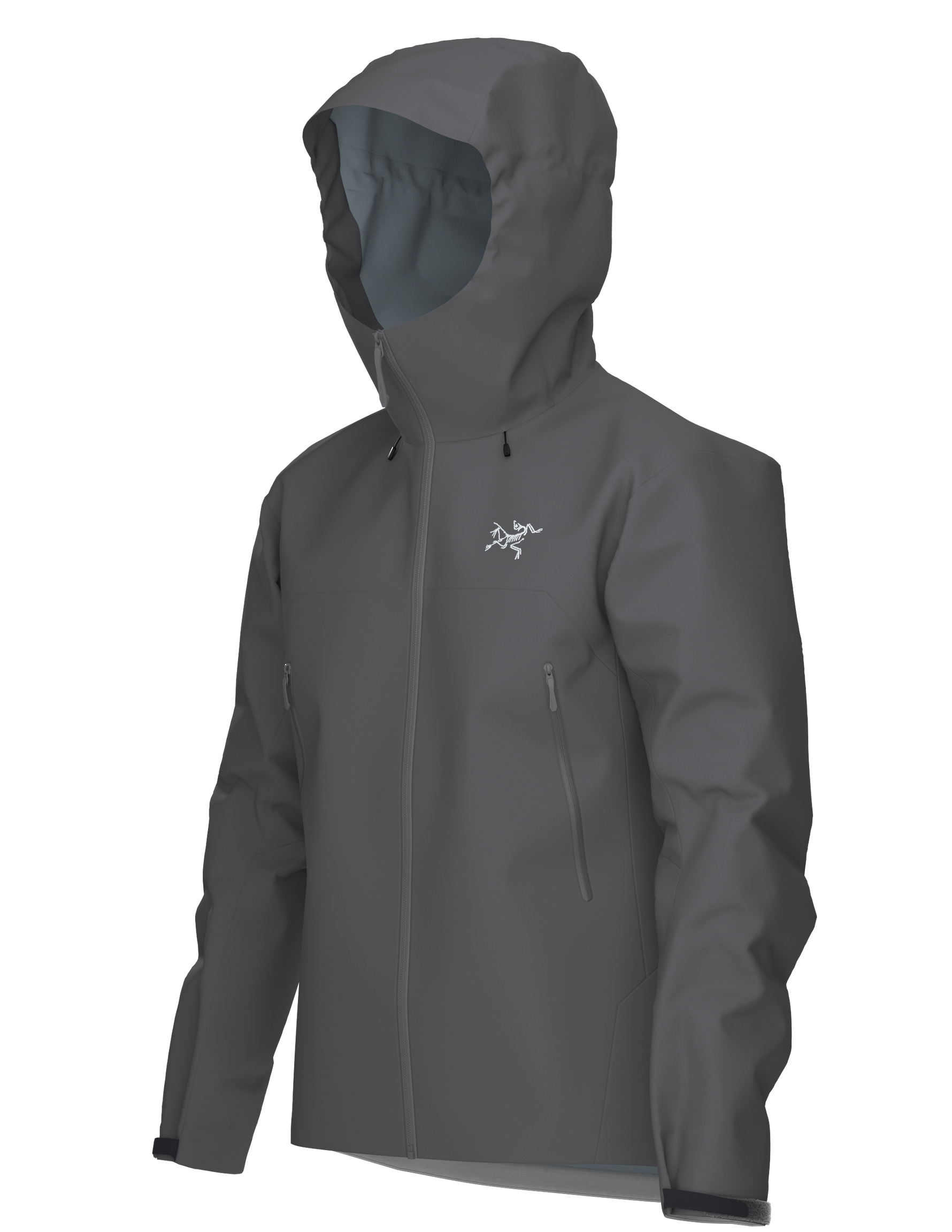 Manteau Gore-TEX Beta SL HOMME