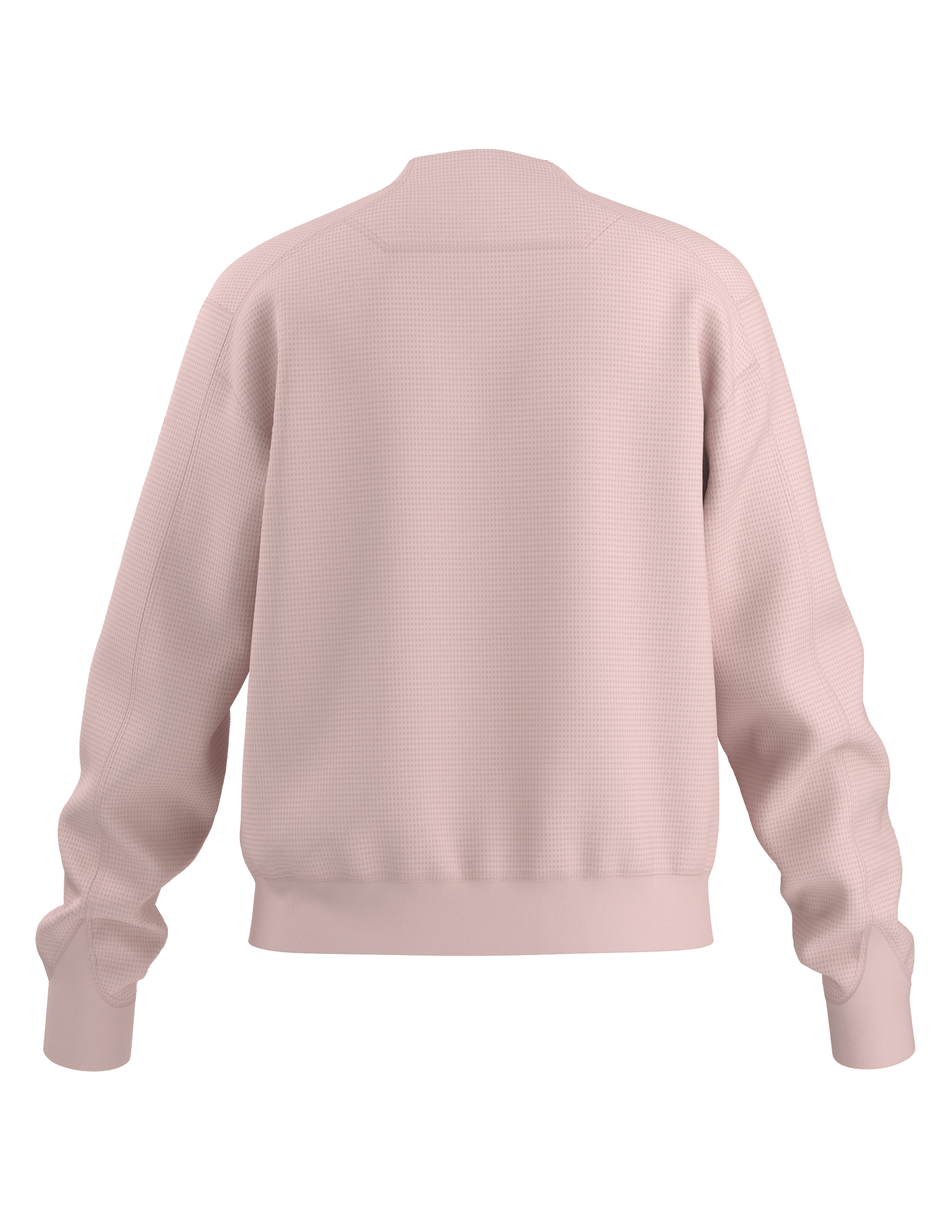 Olera {X000010944}