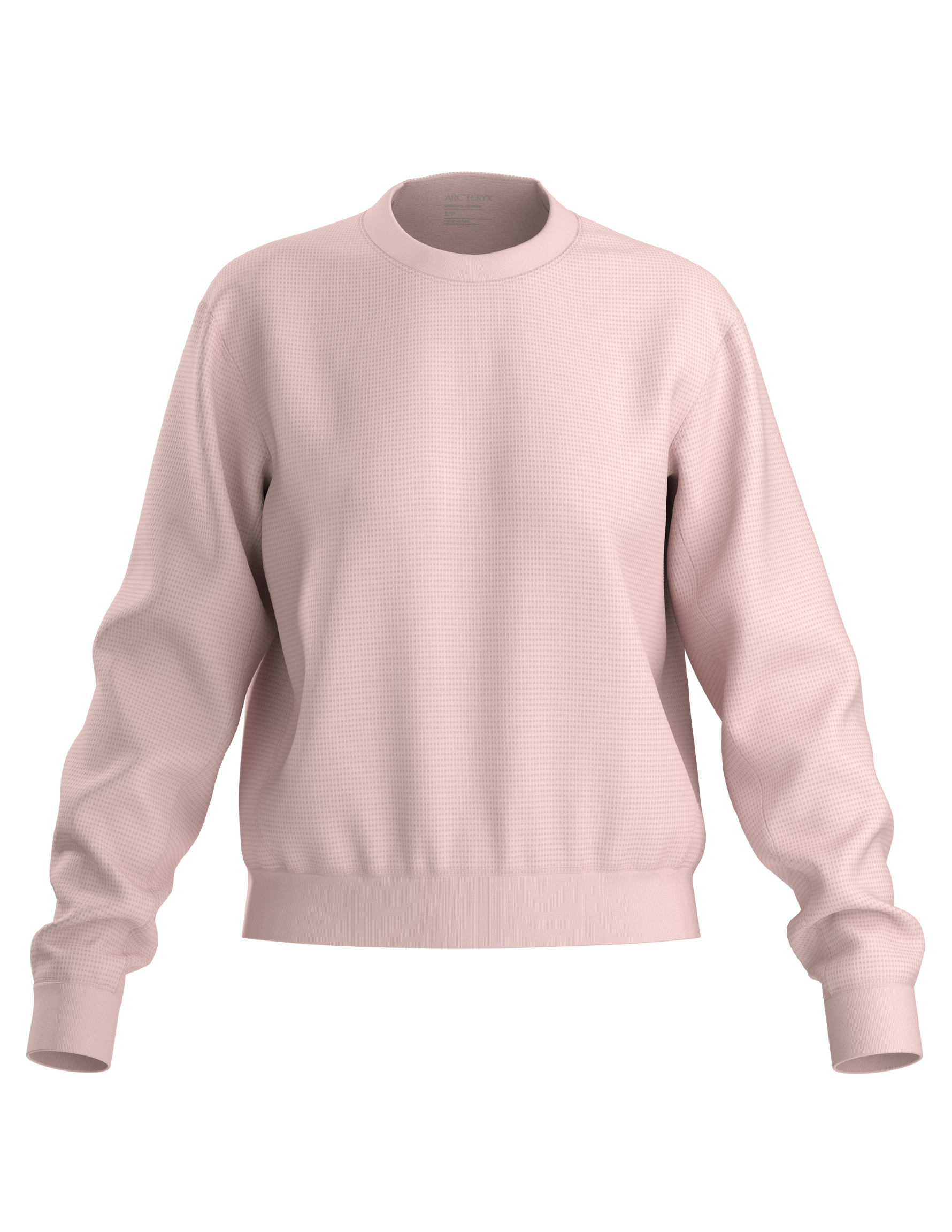 Olera {X000010944}