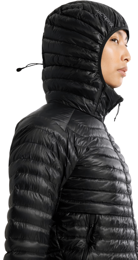 Texte alternatif de l'image
