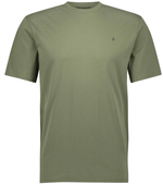 RR Graphic-398-Fiddlehead GRN W-1