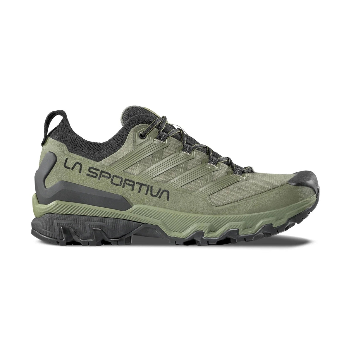 Men's Ultra Raptor 3 GTX Hiking Shoes