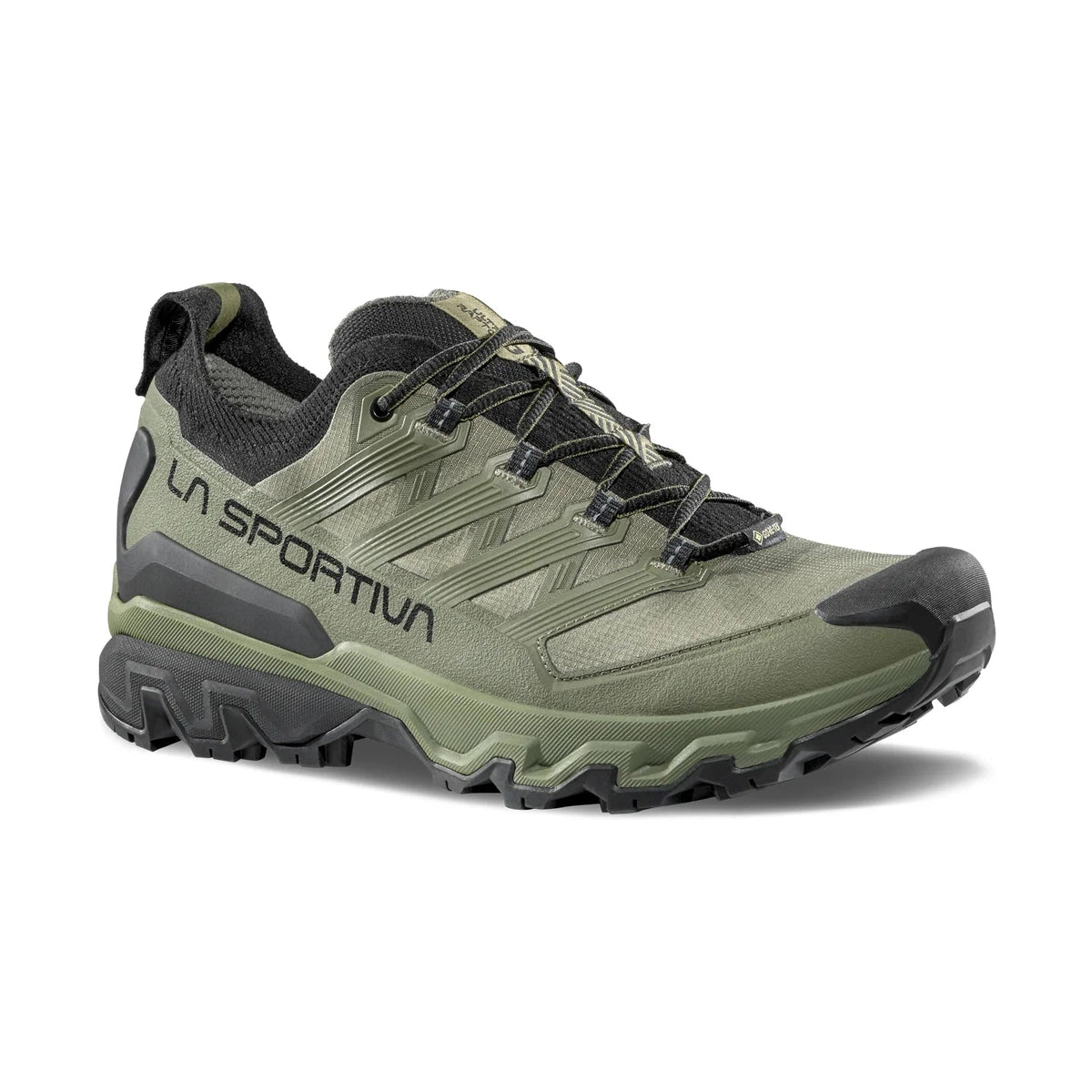 Men's Ultra Raptor 3 GTX Hiking Shoes