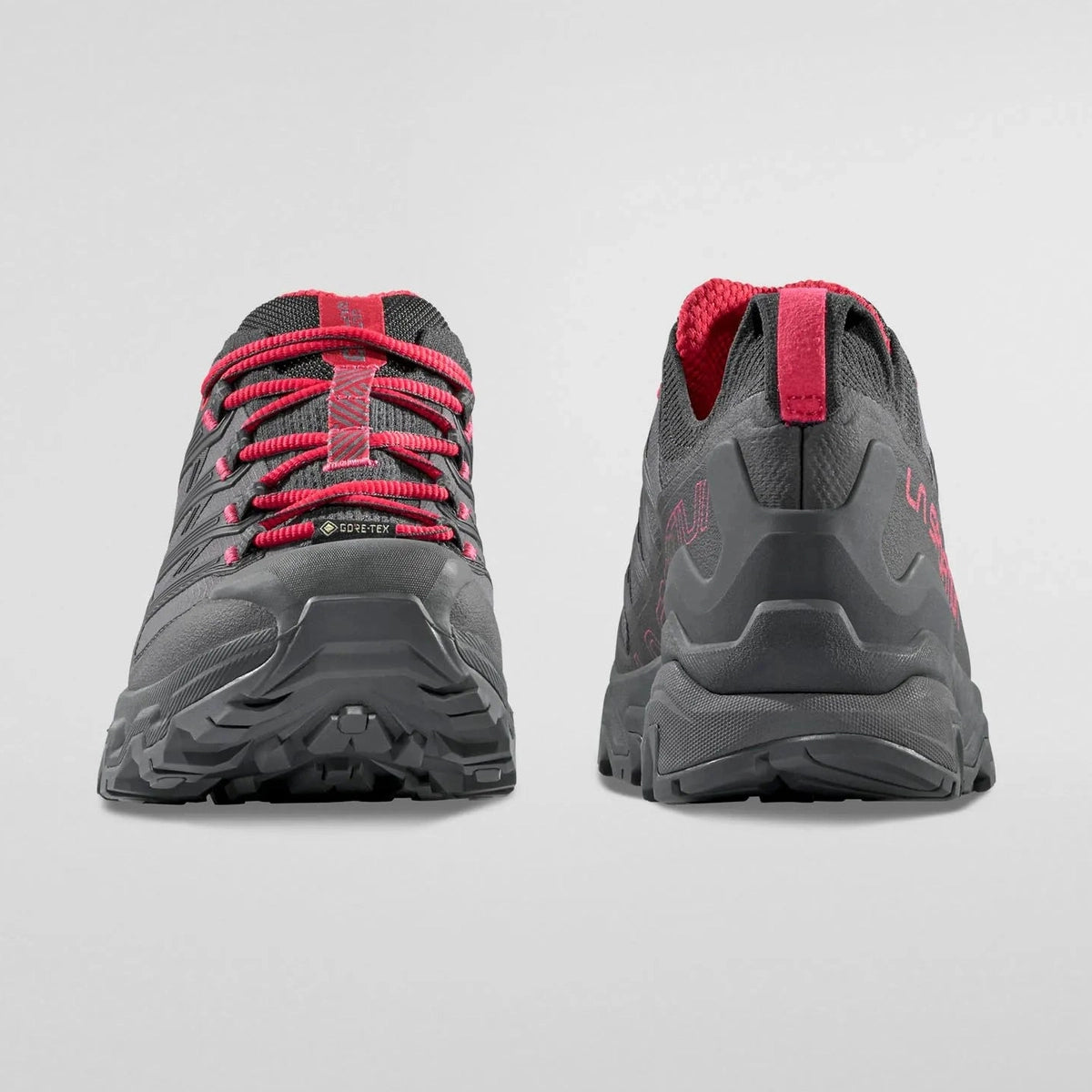 Women's Ultra Raptor 3 GTX Hiking Shoes