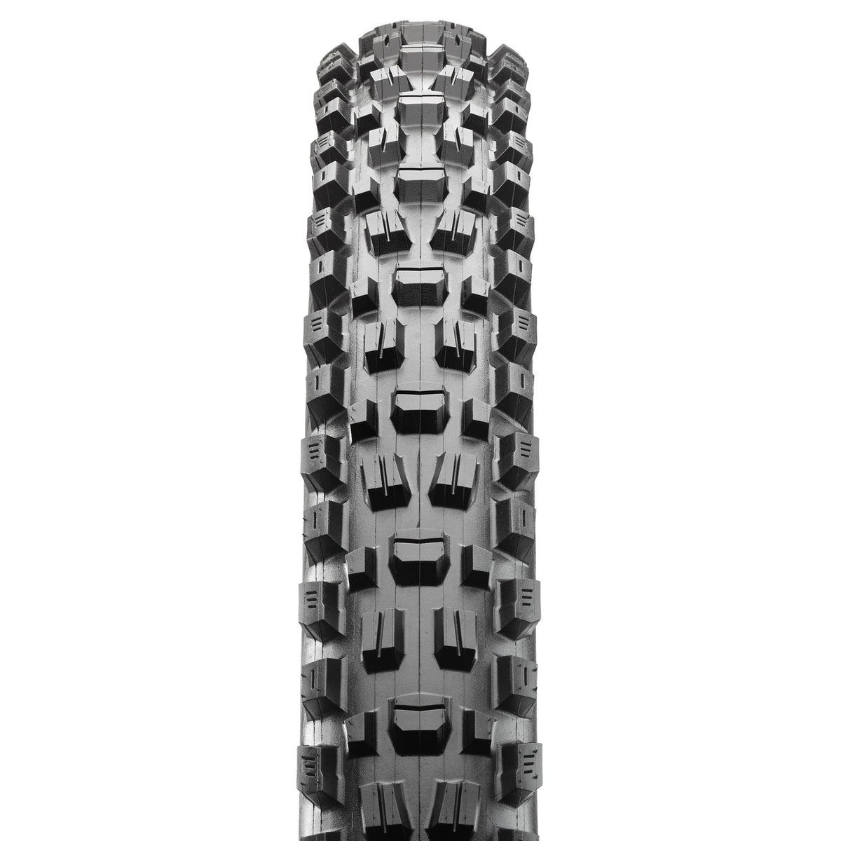 Mountain Assegai 29x2.5 F120 3C Maxxterr-1
