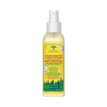 KIT Campeur-7