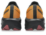 Chaussures Course Novablast 6 GTX HOMME