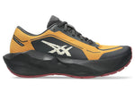 Chaussures Course Novablast 6 GTX HOMME