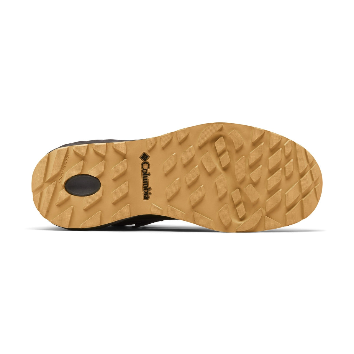 Men's Newton Alpine PT Hiking Boots