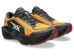 Chaussures Course Novablast 6 GTX HOMME