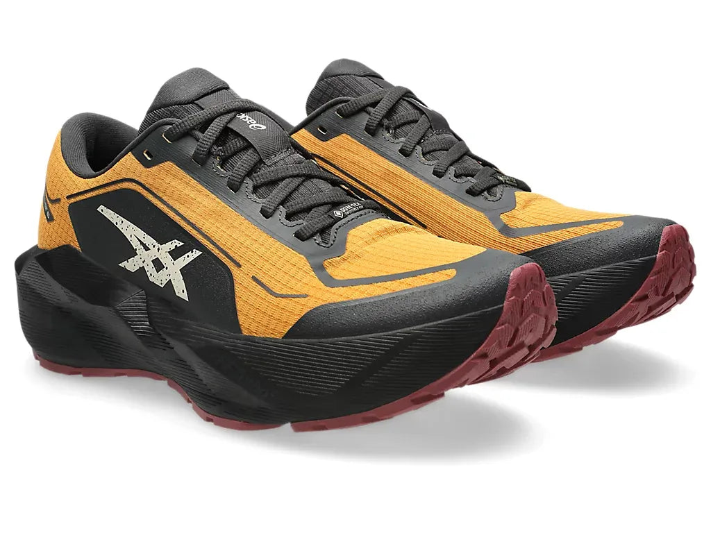 Chaussures Course Novablast 6 GTX HOMME