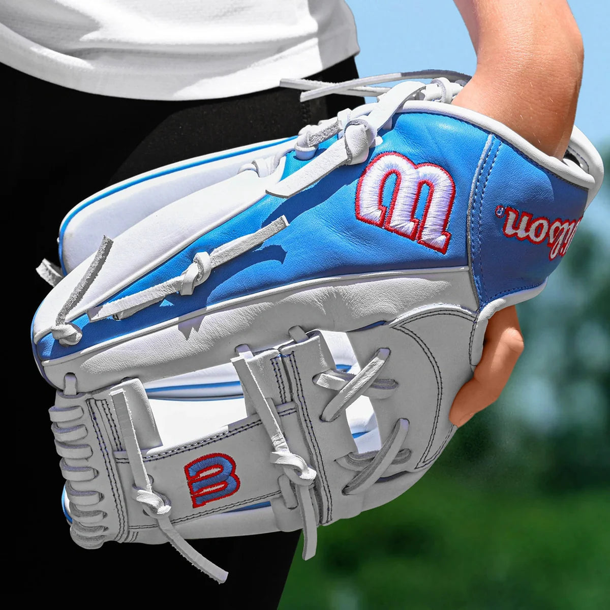 A1000 Fastpitch H12-3