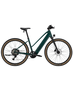 FX+ 1 MIDSTEP  - JUNIPER - G