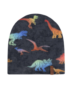 JERSEY HAT - 023-PRINTED DINOSAUR - 7/14_DPD023_F20ZW05__90809180