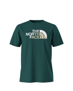 M BINER GRAPHIC 1 TEE - 6GI-DEEP NORI - M_FAC6GI_NF0A894X__90846135