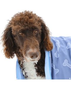 SERVIETTE POUR CHIEN - BLEU - TAILLE UNIQUE_KCL012_SERVIETTECHIEN__90844251