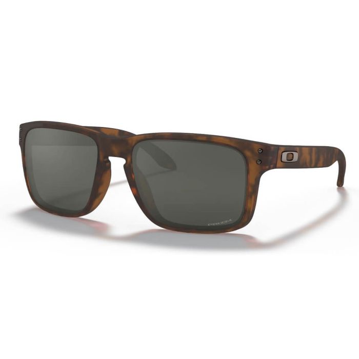 Holbrook matte brown tortoise cheap